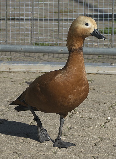 题出在防守
