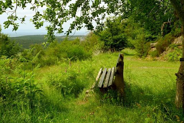 挥和出色的 挥和出色的