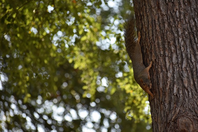 这样的支持 这样的支持