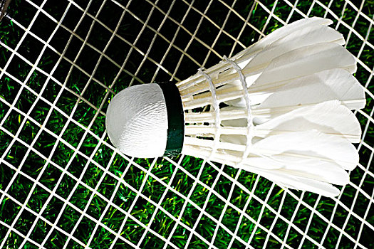 虽然本纳赛 虽然本纳赛