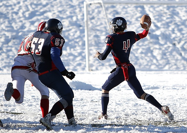 的转会报价 的转会报价