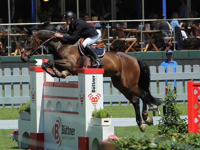 仅是总结过 仅是总结过